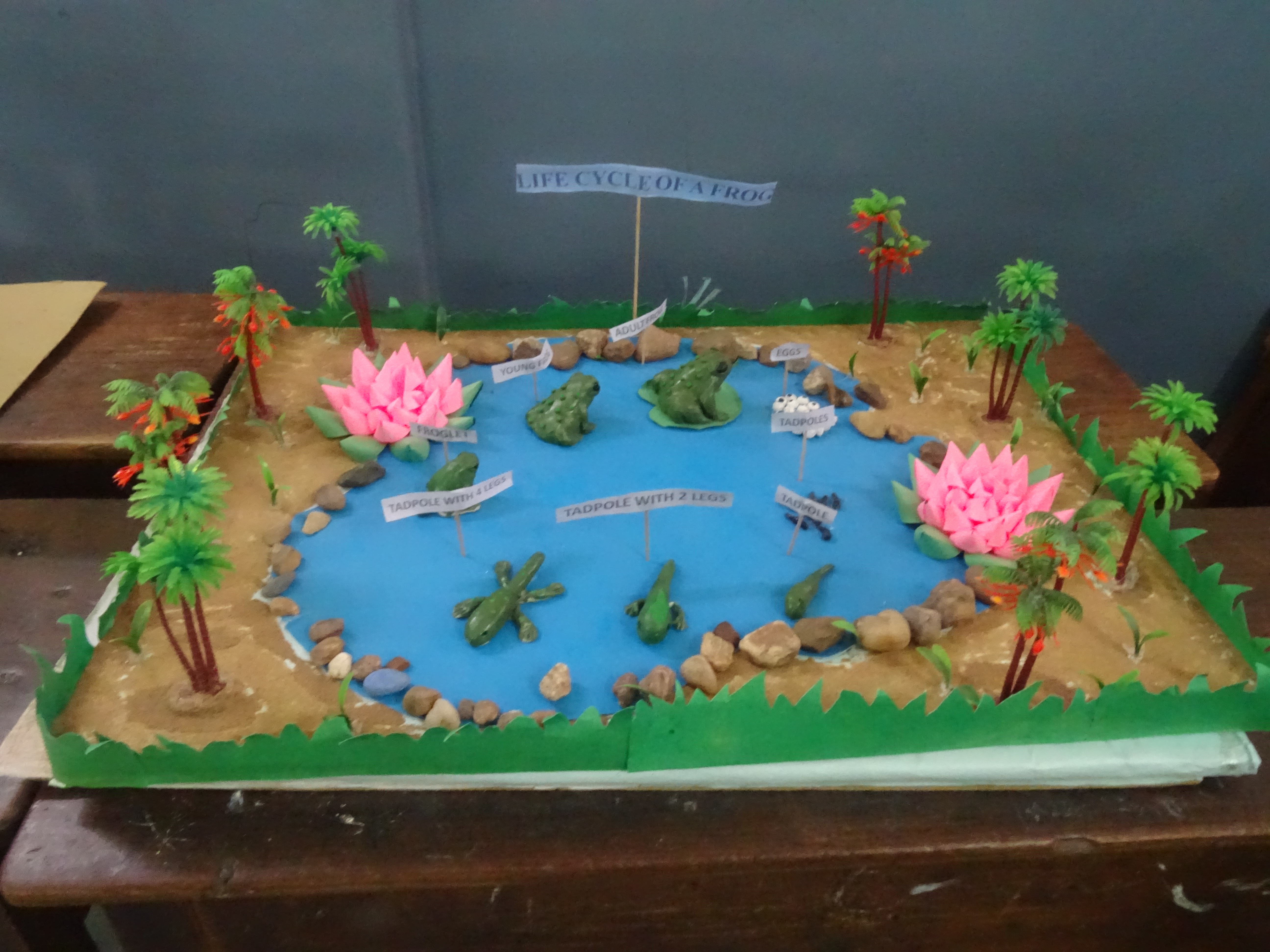 Science Exhibition Photo 46